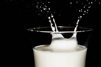 Эксперты нашли бактерии в молоке «Эго» и не исключили нарушений у «Экомилк», «Ермолино», «Домик в деревне» и «Авида»